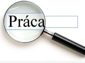 Pracovník vo výrobe ekobrikiet 1